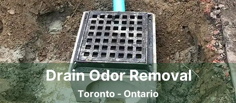  Drain Odor Removal Toronto - Ontario